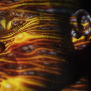 农村村妇真实偷人视频
